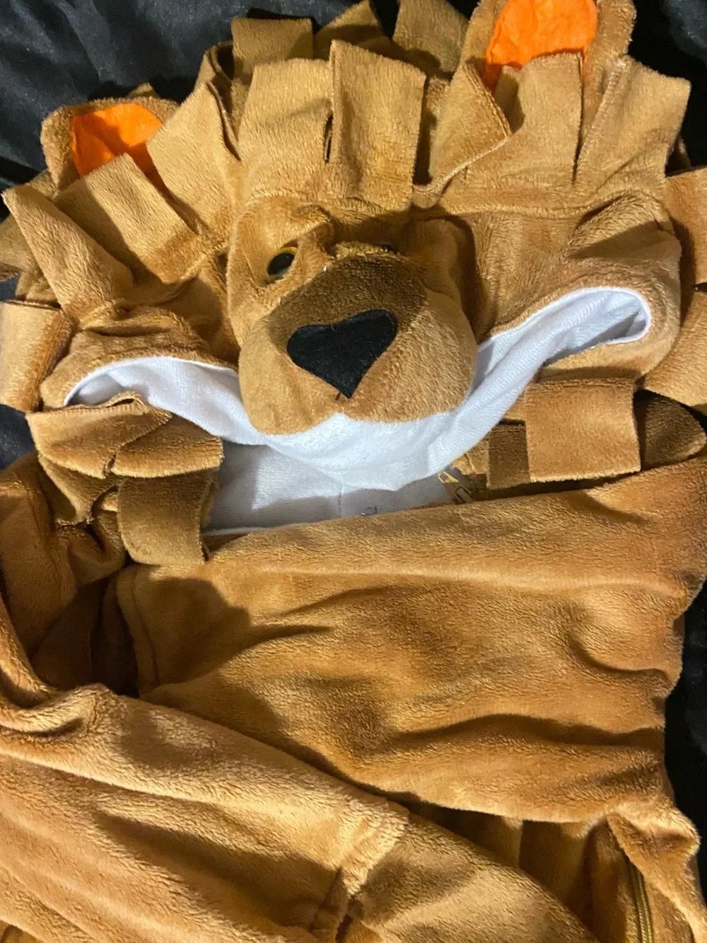 Lion Costume 🦁